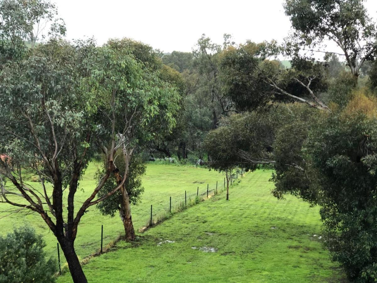 Manor Toodyay